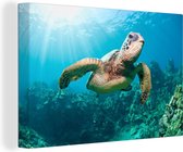 Canvas Schilderij Zwemmende schildpad fotoafdruk - 90x60 cm - Wanddecoratie