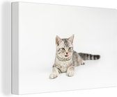 Canvas Schilderij Kitten - Wit - Tong - Meisjes - Kinderen - Jongens - Kindje - 90x60 cm - Wanddecoratie