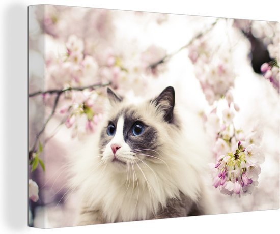 Un Chat Avec Des Fleurs | Vecteur Premium