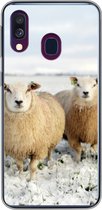 Geschikt voor Samsung Galaxy A40 hoesje - Groep nieuwsgierige schapen - Siliconen Telefoonhoesje