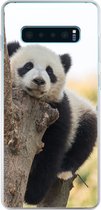 Geschikt voor Samsung Galaxy S10 Lite hoesje - Panda - Boom - Licht - Siliconen Telefoonhoesje