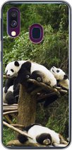 Geschikt voor Samsung Galaxy A40 hoesje - Panda's - Hout - Trap - Siliconen Telefoonhoesje