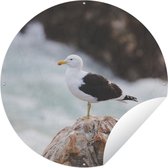 Garden Circle Seagull - Pierre - Water - 120x120 cm - Affiche jardin - XXL