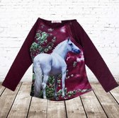 Aubergine longsleeve met paard F38 -s&C-134/140-Longsleeves meisjes