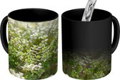 Magische Mok - Foto op Warmte Mok - Verse tijm kruid planten groeien in een kruidentuin - 350 ML