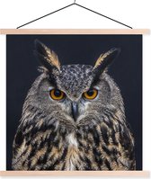 Porte-affiche avec affiche - Affiche scolaire - Portrait de hibou grand-duc - 60x60 cm - Lattes vierges