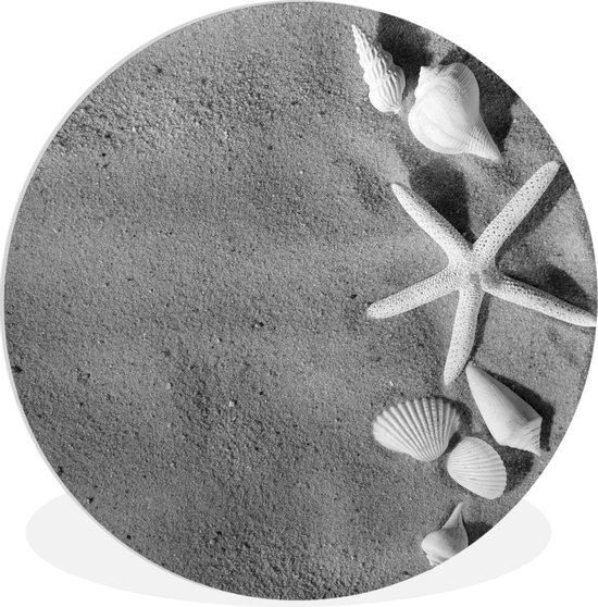 WallCircle - Wandcirkel ⌀ 60 - Een zeester ligt tussen de schelpen op het strand - zwart wit - Ronde schilderijen woonkamer - Wandbord rond - Muurdecoratie cirkel - Kamer decoratie binnen - Wanddecoratie muurcirkel - Woonaccessoires