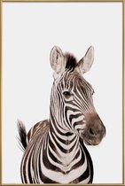 JUNIQE - Poster met kunststof lijst Zebra -20x30 /Wit & Zwart