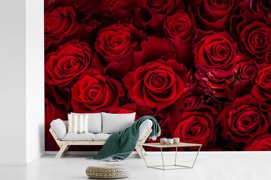 Papier peint photo peint photo vinyle - Roses rouges en fleurs largeur 420 cm x hauteur 280 cm - Tirage photo sur papier peint (disponible en 7 tailles)