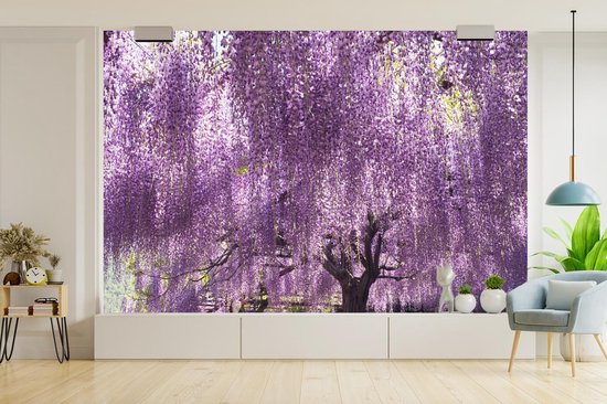 Blooming fotobehang de glycines