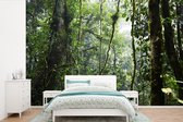 Behang - Fotobehang Tropisch regenwoud - Breedte 420 cm x hoogte 280 cm