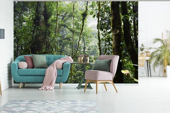 Papier peint Papier peint photo en vinyle - Forêt tropicale humide largeur 360 cm x hauteur 240 cm - Tirage photo sur papier peint (disponible en 7 tailles)