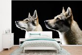 Behang - Fotobehang Zijprofiel van twee wolven - Breedte 400 cm x hoogte 300 cm