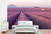 Behang - Fotobehang Uitgerekt paars lavendelveld tussen bergen - Breedte 420 cm x hoogte 280 cm