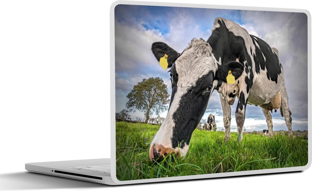Laptop sticker - 12.3 inch - Koe - Gras - Boerderij - Natuur - 30x22cm - Laptopstickers - Laptop skin - Cover