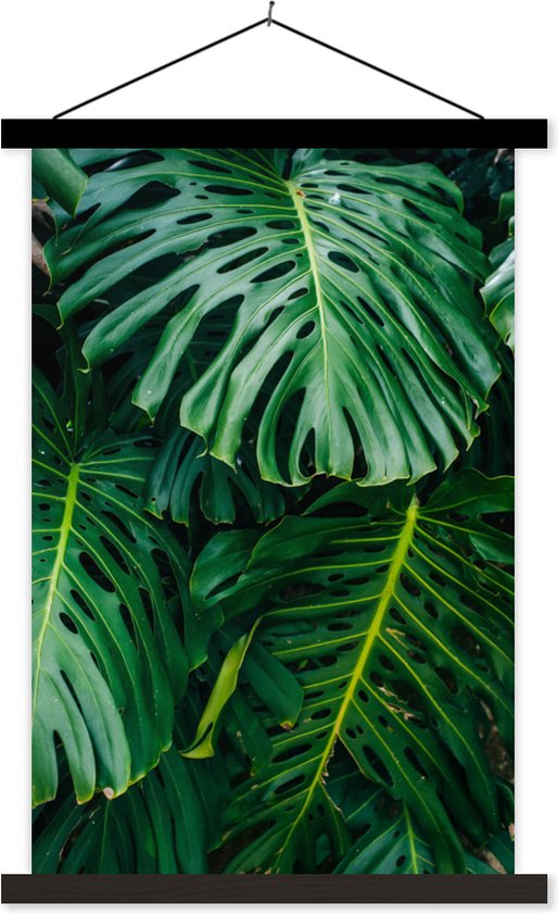 Posterhanger incl. Poster - Schoolplaat - Donkergroene botanische bladeren in een tuin - 40x60 cm - Zwarte latten