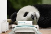 Behang - Fotobehang Panda - Beren - China - Breedte 600 cm x hoogte 400 cm