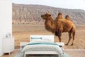 Behang - Fotobehang kameel in China - Breedte 450 cm x hoogte 300 cm