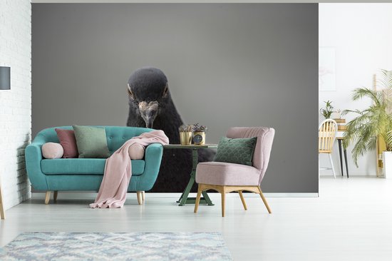Papier peint photo vinyle - Un beau pigeon sur fond gris largeur 330 cm x hauteur 220 cm - Tirage photo sur papier peint (disponible en 7 tailles)