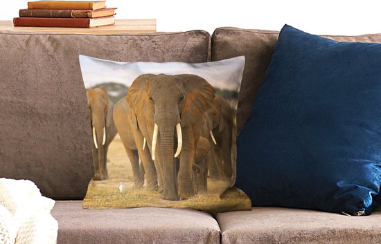 Sierkussen - Herbe Éléphant - Multicolore - 45 Cm X 45 Cm