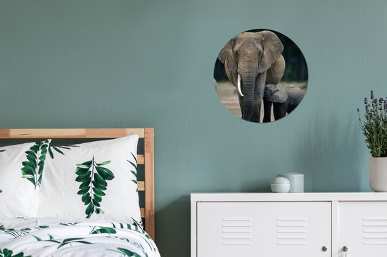 Cercle Mural - Cercle Mural Intérieur - Bébé éléphant nourri par sa mère - ⌀ 30 cm - Décoration murale - Peintures Ronds