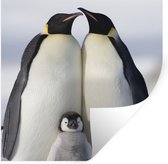 Muurstickers - Sticker Folie - Pinguïn - Gezin - Sneeuw - 80x80 cm - Plakfolie - Muurstickers Kinderkamer - Zelfklevend Behang - Zelfklevend behangpapier - Stickerfolie