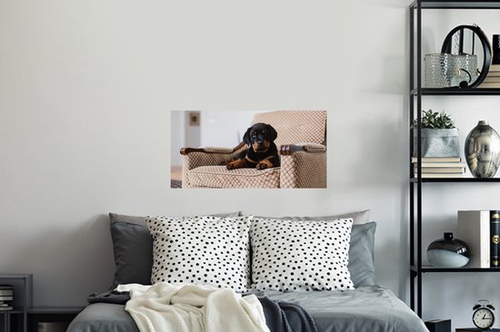 Stickers muraux - Film autocollant - Chiot Rottweiler mignon assis sur une chaise - 80x40 cm - Film adhésif - Stickers muraux chambre d'enfant - Papier peint autocollant - Papier peint autocollant - Film autocollant