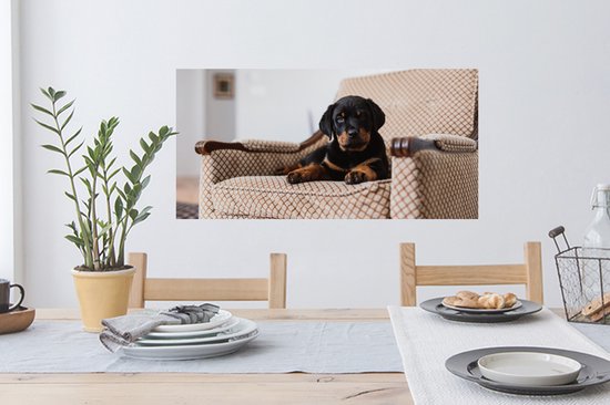 Stickers muraux - Film autocollant - Chiot Rottweiler mignon assis sur une chaise - 80x40 cm - Film adhésif - Stickers muraux chambre d'enfant - Papier peint autocollant - Papier peint autocollant - Film autocollant