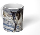 Mok - Een border collie op de sneeuwheuvels - 350 ML - Beker