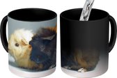 Magische Mok - Foto op Warmte Mokken - Koffiemok - Twee kleine cavia's - Magic Mok - Beker - 350 ML - Theemok