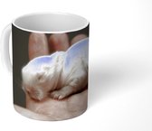 Mok - Baby hamster in de hand - 350 ML - Beker