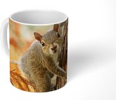 Mok - Eekhoorn - Boom - Herfst - 350 ML - Beker