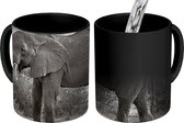 Magische Mok - Foto op Warmte Mokken - Koffiemok - Profiel van een olifant in zwart-wit - Magic Mok - Beker - 350 ML - Theemok
