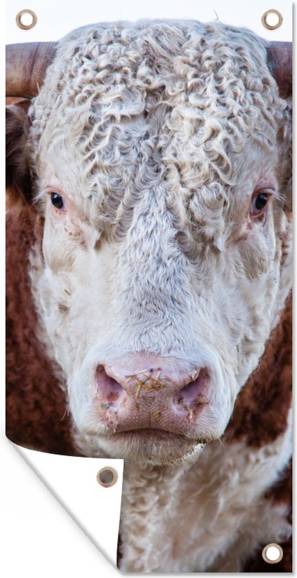 Tête De Taureau - Décoration Murale Moderne En Polyrésine Doré - Grand