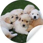 WallCircle - Muurstickers - Behangcirkel - Dieren - Puppy's - Honden - ⌀ 30 cm - Muurcirkel - Zelfklevend - Ronde Behangsticker