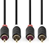 2x RCA Male, 2x RCA Male, Plaqué or, 10.0 m, Rond, Anthracite, Boîte