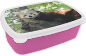 Broodtrommel Roze - Lunchbox - Brooddoos - Rode Panda - Boom - Groen - 18x12x6 cm - Kinderen - Meisje