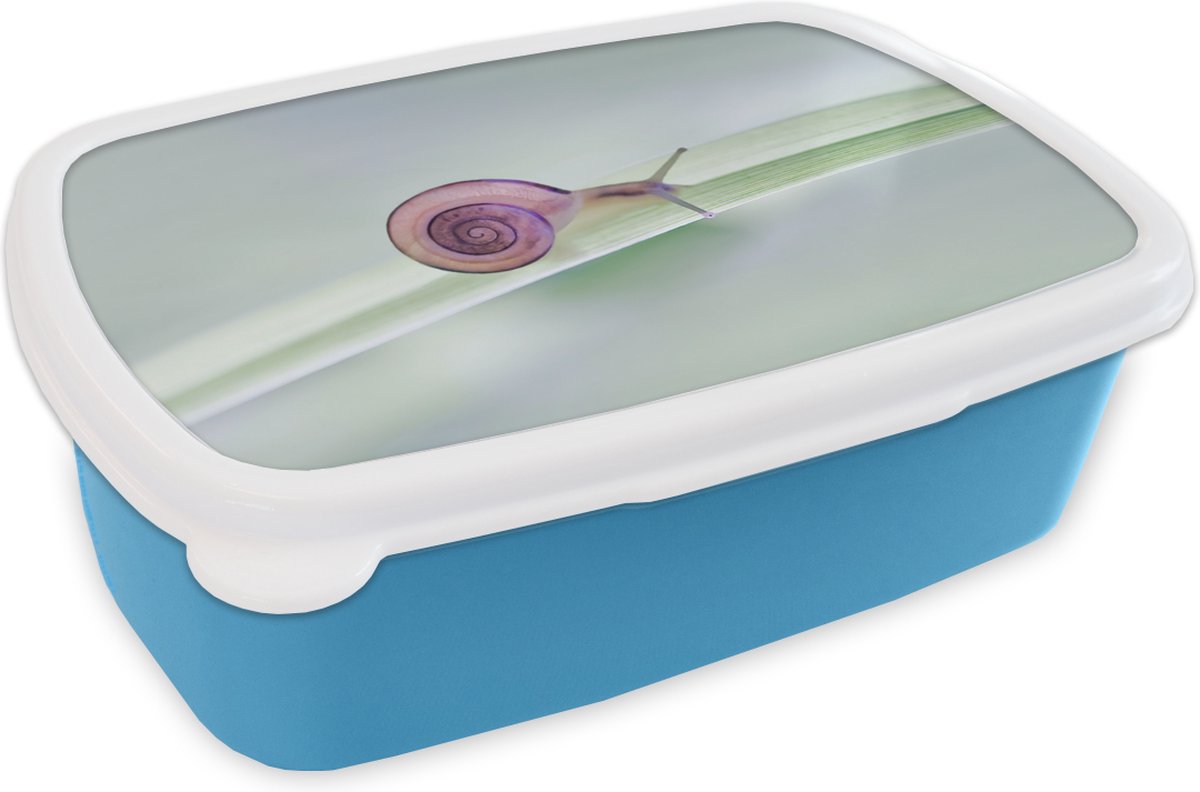 Broodtrommel Blauw - Lunchbox - Brooddoos - Kleine slak - 18x12x6 cm - Kinderen - Jongen