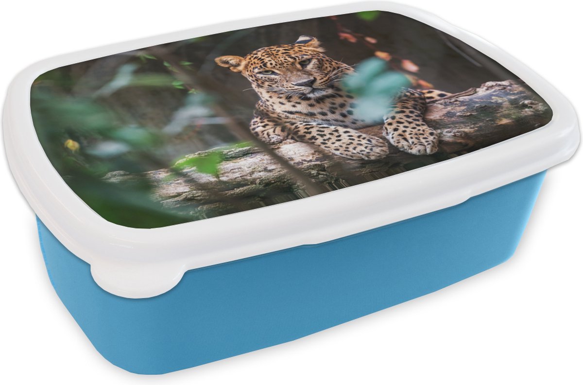 Broodtrommel Blauw - Lunchbox - Brooddoos - Panter - Jungle - Dieren - 18x12x6 cm - Kinderen - Jongen