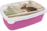 Broodtrommel Roze - Lunchbox - Brooddoos - Konijn - Baby - Dier - 18x12x6 cm - Kinderen - Meisje