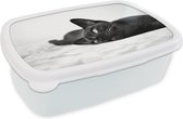 Broodtrommel Wit - Lunchbox - Brooddoos - Burmese kat ligt lekker op een deken - zwart wit - 18x12x6 cm - Volwassenen