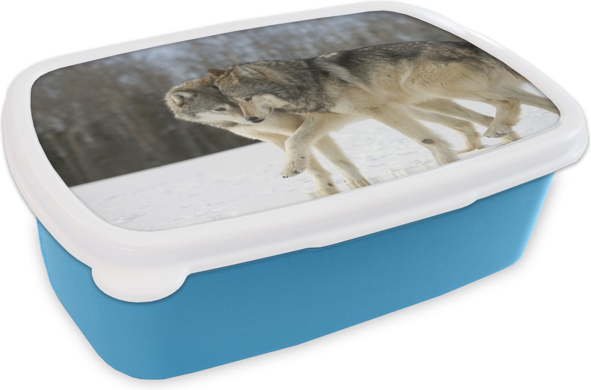 Broodtrommel Blauw - Lunchbox - Brooddoos - Wolf - Sneeuw - Vacht - 18x12x6 cm - Kinderen - Jongen