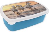 Broodtrommel Blauw - Lunchbox - Brooddoos - Paarden - Zon - Zee - Strand - Dieren - 18x12x6 cm - Kinderen - Jongen
