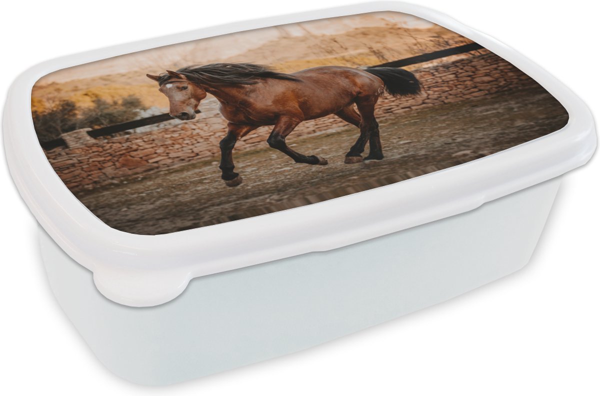 Broodtrommel Wit - Lunchbox - Brooddoos - Paard - Bruin - Steen - 18x12x6 cm - Volwassenen