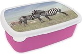 Broodtrommel Roze - Lunchbox - Brooddoos - Zebra's - Gras - Zwart - Wit - 18x12x6 cm - Kinderen - Meisje