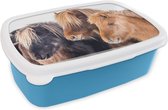 Broodtrommel Blauw - Lunchbox - Brooddoos - Drie IJslander paarden in de sneeuw - 18x12x6 cm - Kinderen - Jongen
