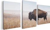 Artaza Canvas Schilderij Drieluik Bizon in het Gras - 120x60 - Foto Op Canvas - Canvas Print