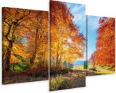 Schilderij - Kleurrijke herfstbomen, 3 luik, premium print