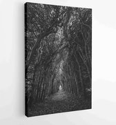 Canvas schilderij -  Productnummer 753575 - 50*40 Vertical