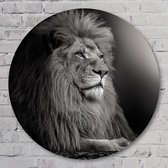 Lion Black/White - 90 cm Forex Muurcirkel - Dieren - Wanddecoratie - Rond Schilderij - Wandcirkel